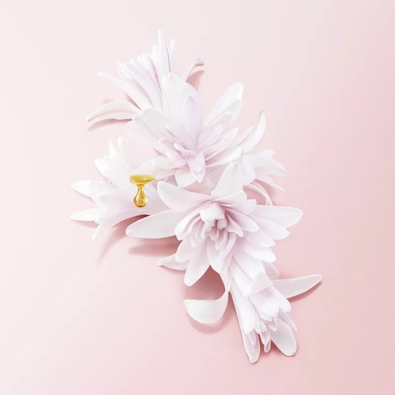 mi camino edp nectar